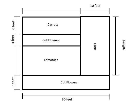 A rectangular garden divided into five different sections to show where Madison is going to plant each of her items.