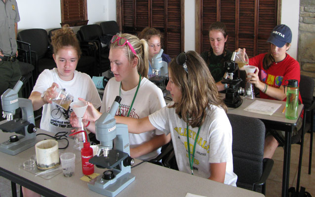 students working together on a science lab