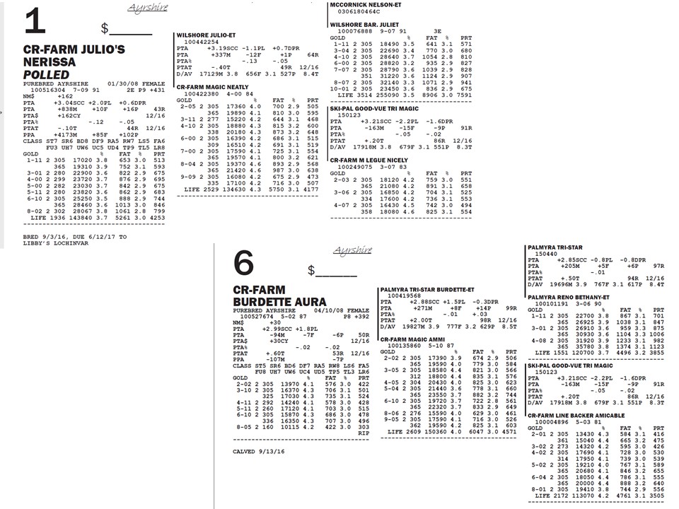 Use these pedigrees to evaluate the four Ayrshire cows