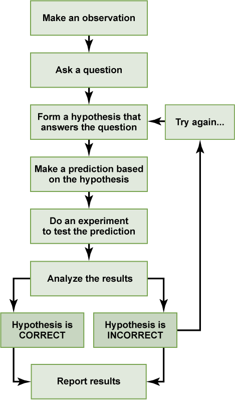 Figure 1.6. The scientific method consists of a series of well-defined steps. If a hypothesis is not supported by experimental data, a new hypothesis can be proposed.