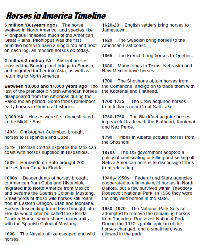 Horses in America Timeline
