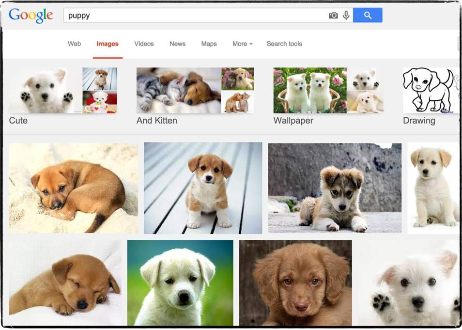 A google image results search for "puppy"