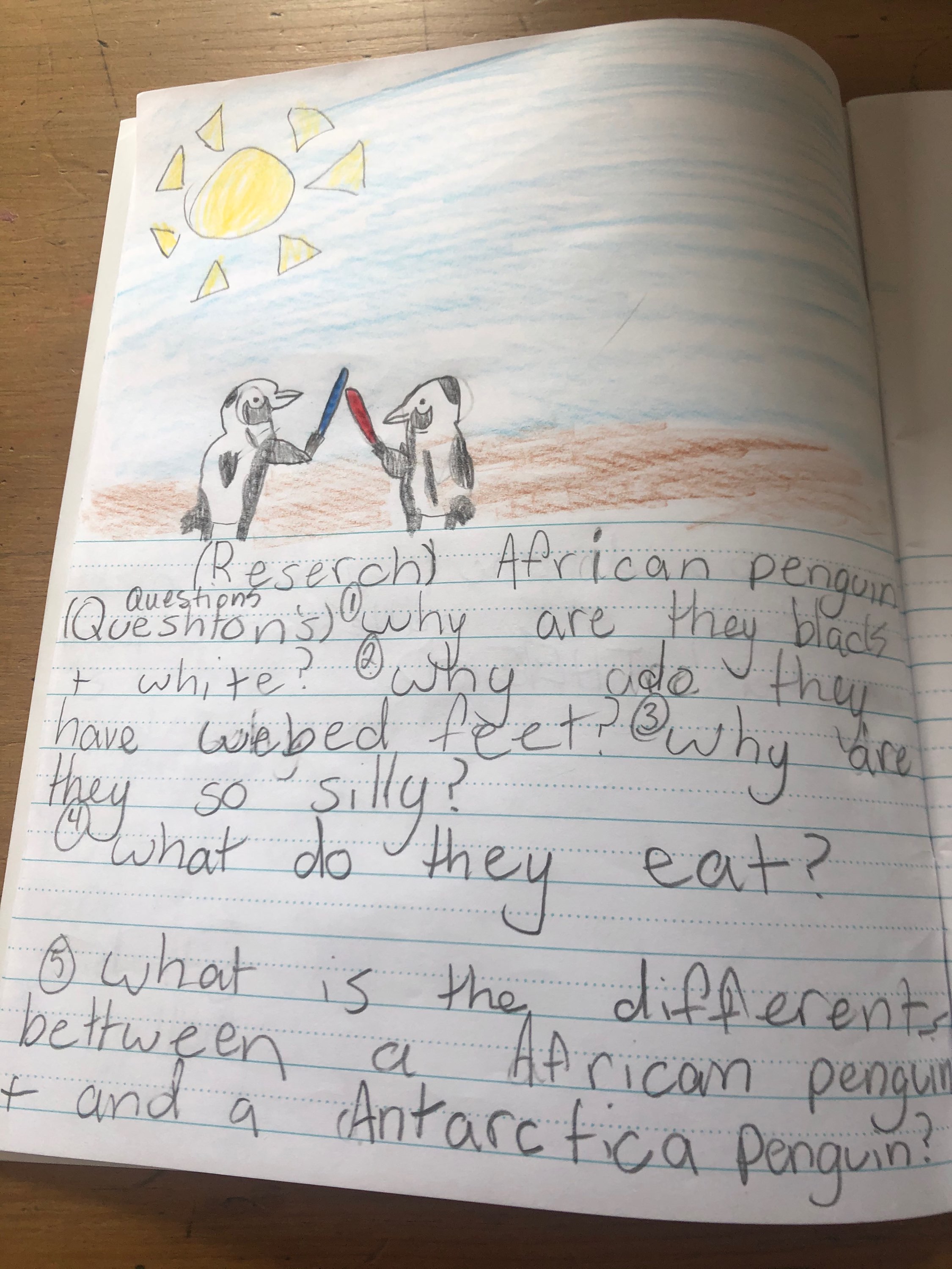 African Penguin Research Questions