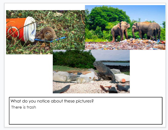 A second screenshot of author, M.Moore's student responses to noticings about trash in Google Slides