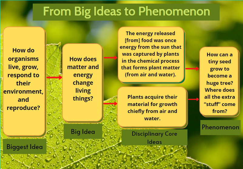 From Big Ideas to Phenomenon