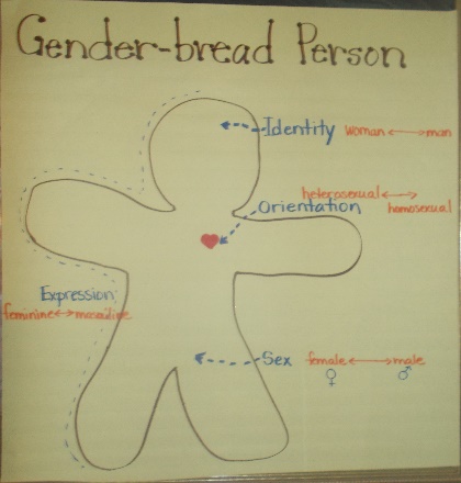 Gender-bread outline