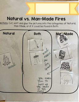 Another Student cut and paste sample of Natural vs Man-made fires sort