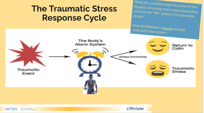 The Traumatic Stress Response Cycle