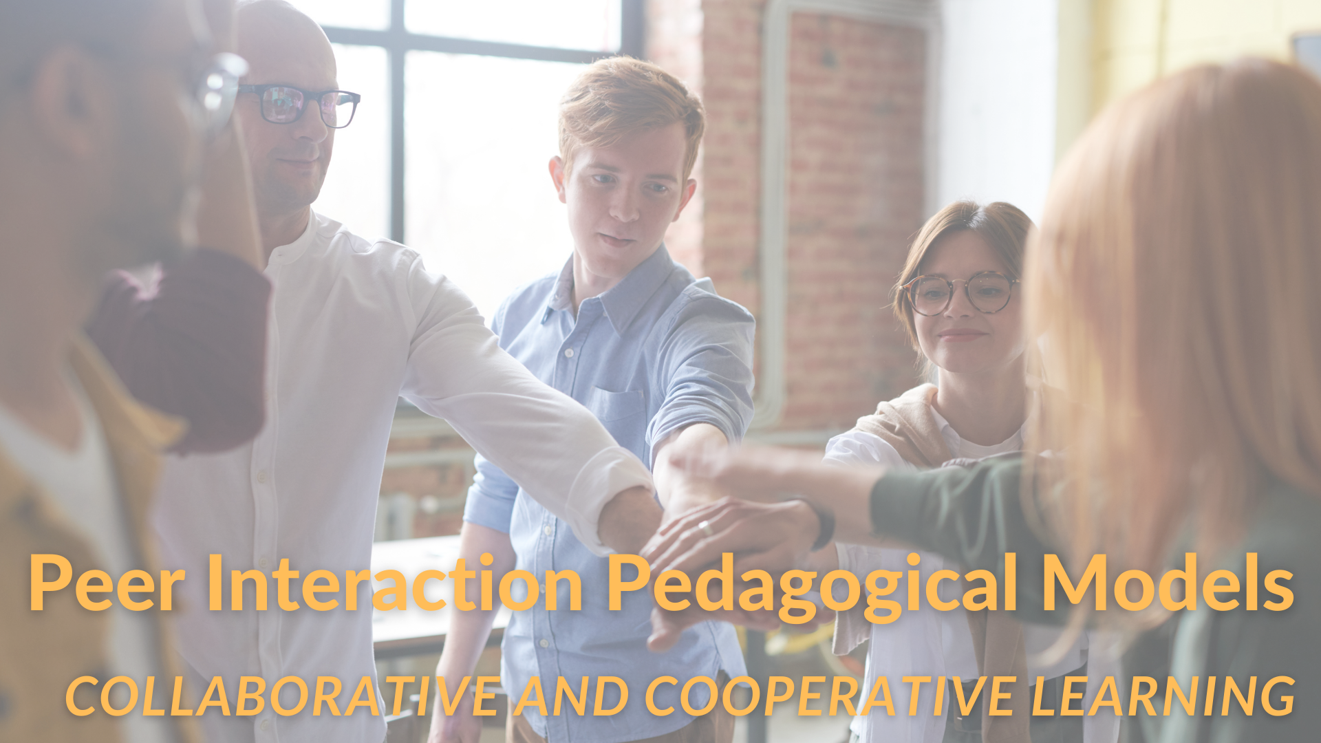 Peer Interaction Pedagogical Models Infographic