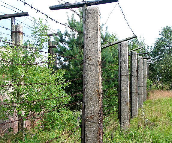 Strands of barbed wire are strung across two rows of concrete pillars to create a fence that crosses a shrubby field.