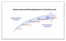 Image of the Intercultural Development Continuum