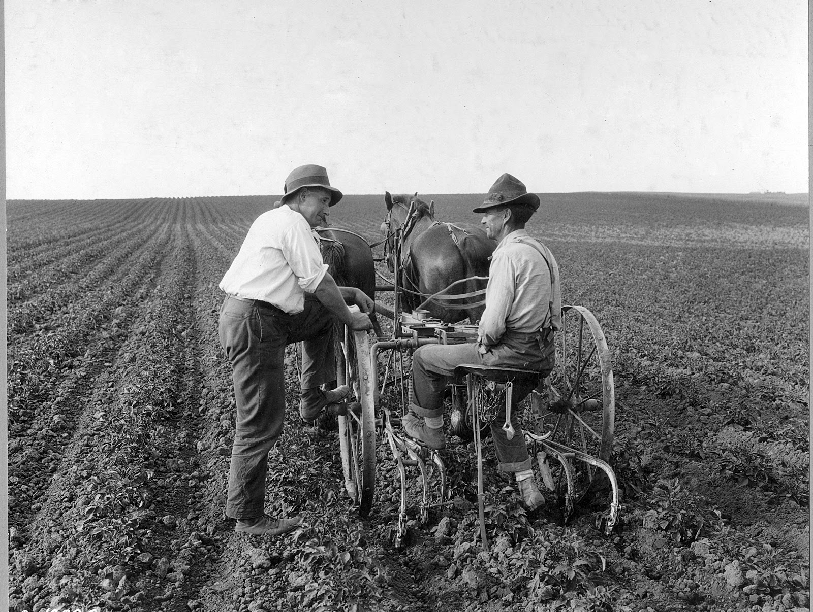 County agent Bennion and farmer C. L. May discuss the potato prospects of the community in Umatilla County, Westin, Oregon on July 21, 1925. Photo courtesy of National Archives and Records Administration. By U.S. Department of Agriculture [CC BY 2.0], via Flickr