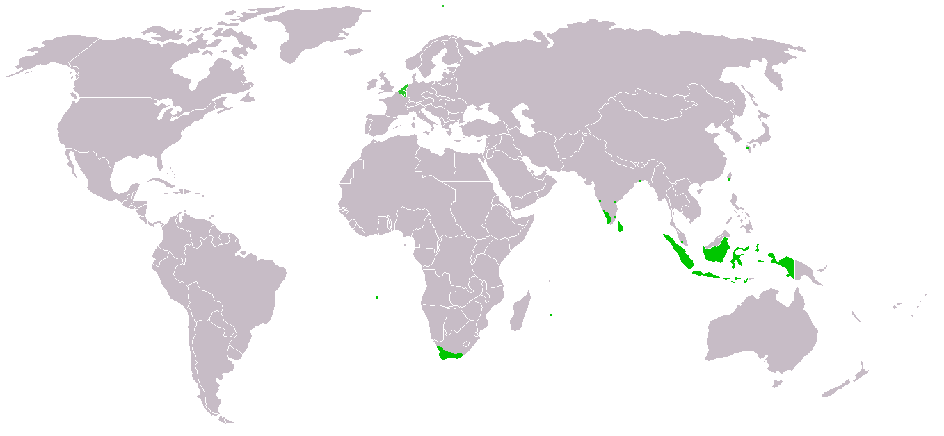 World map showing, in green, the former Dutch Empire that stretched over much of Indonesia and South Africa.