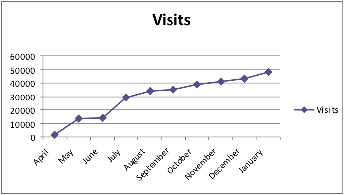 Visitor per month