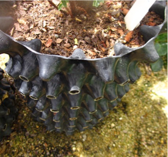 A close-up of the side of an air pruning container.