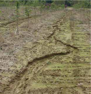 A channel in the soil where water has carried the soil away
