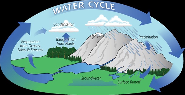 the basic components of our atmospheric water cycle. In the top right portion of the cycle, precipitation is falling on mountains. The precipitation gathers and is pulled down the mountains by gravity. This water is called surface runoff. The runoff either makes its way below the surface as ground water or creates bodies of water on the Earth. These oceans, lakes, and streams are highlighted on the left side of the cycle as water evaporates up into the atmosphere. Water transpires up from vegetation and gathers with the evaporation to condense into clouds. The clouds then link back into the precipitation.