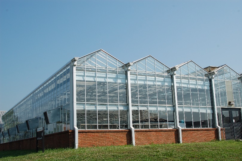 A connected range of glass greenhouses