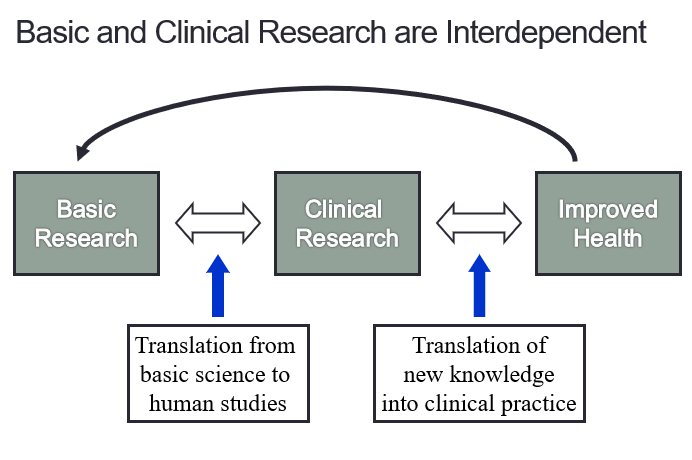 Basic and Clinical Research are Interdependent