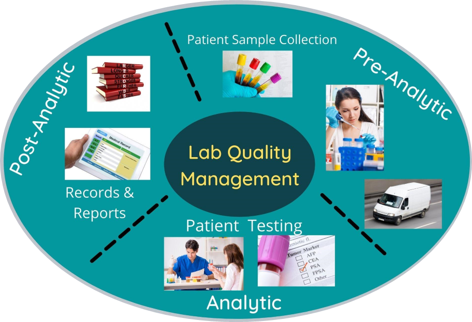 Quality in a Complex Laboratory System