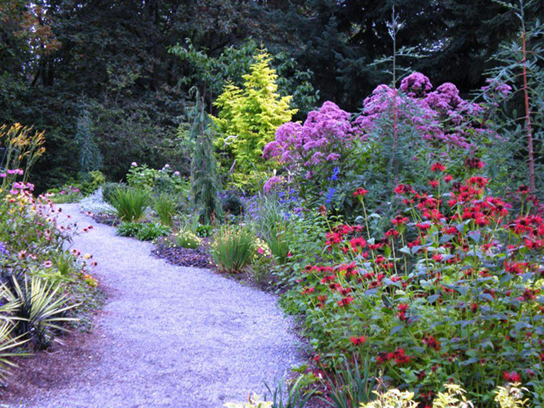 Colorful flower grow to border a gravel path.