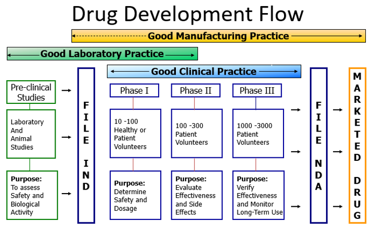 Drug Development Flow