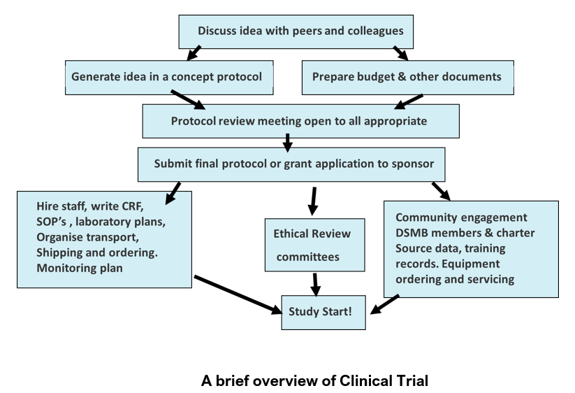 A brief overview of clinical trial
