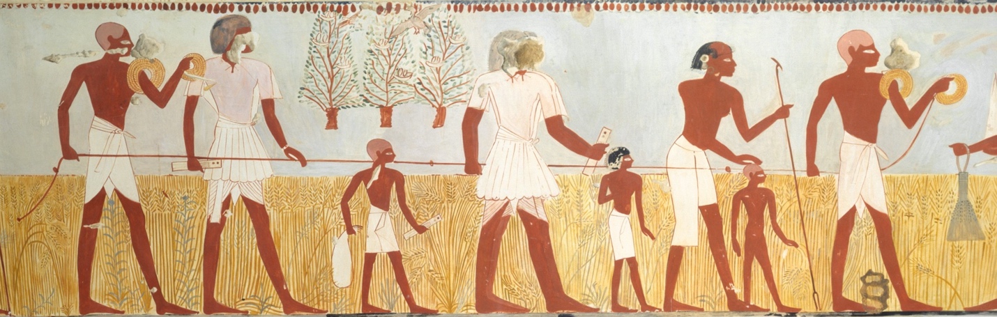 An Egyptian hieroglyph of people harvesting grains