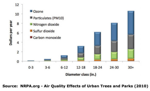 a bar graph comparing various airborne pollutants; the x axis represents the diameter of trees and the y axis represents dollars per year.  Each bar increases in height along the x axis.
