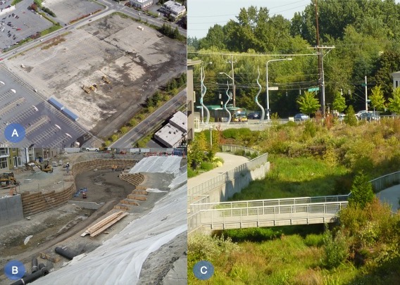 Three images.  The top left is of an expansive parking area, the bottom left is of a construction site, and the right is of a lush, vegetated area with various boardwalks