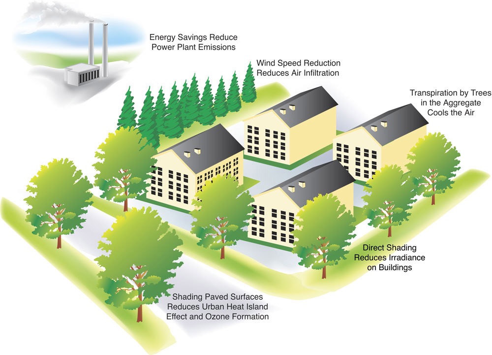 A diagram that demonstrates how plants can limit energy emissions.  The top left has a drawing of a power plant with the caption "Energy savings reduce power plant emissions".  The bottom left shows trees planted by a road with the caption "Shading paved surfaces reduces urban heat island effect and ozone formation".  On the right is a drawing of large buildings with a bank of evergreen trees to the left with the caption "Wind speed reduction reduces air infiltration."