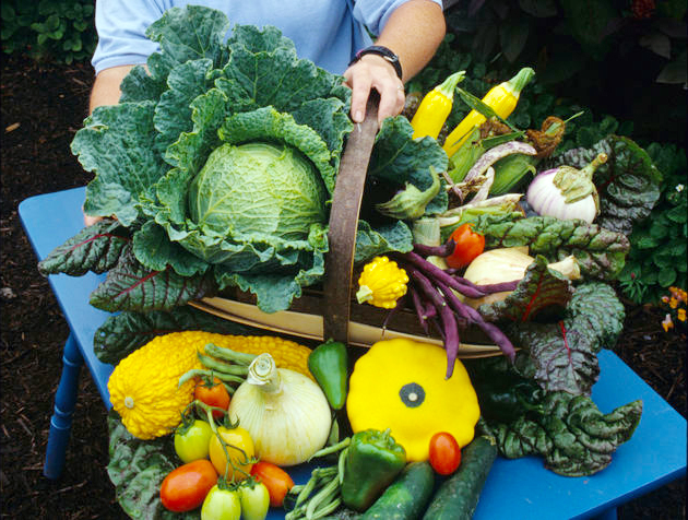A basket of colorful vegetables rests on a blue table.  A hand grasps the handle.
