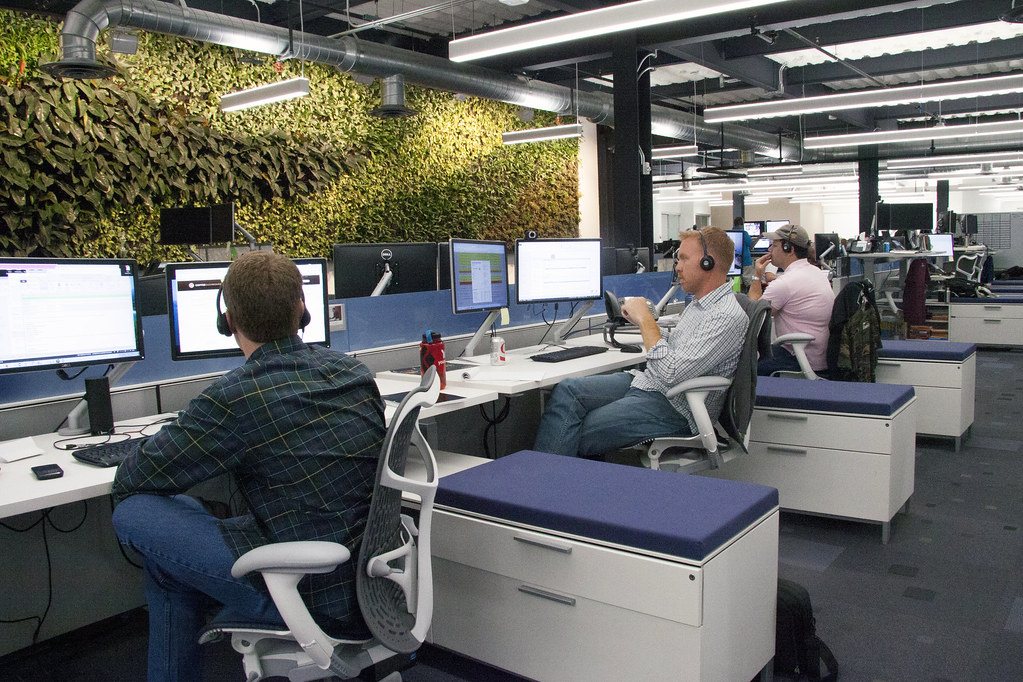 Three people working at desks in an office.  Behind the desks is a large, living wall of green plants.