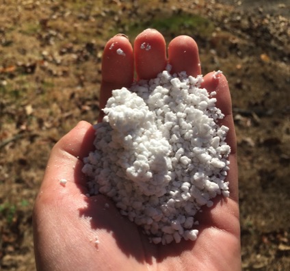 A hand holding small, white grains of perlite