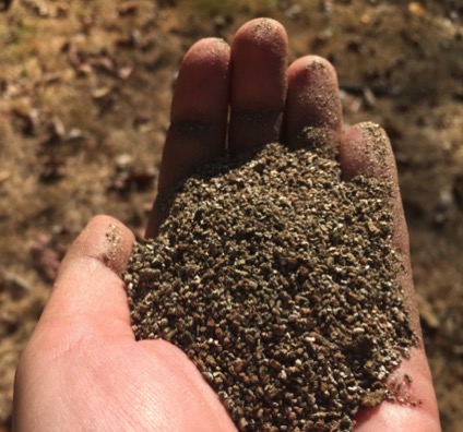 A hand holding very fine, small grains of vermiculite