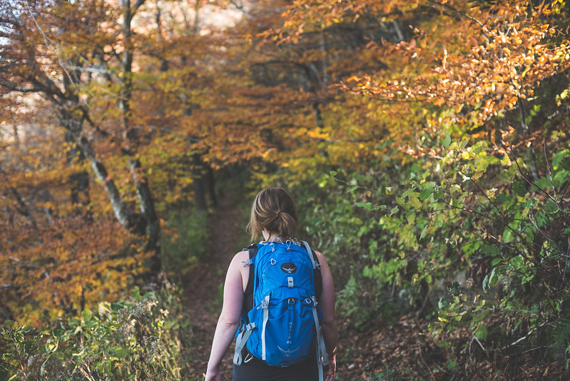 A person with a blue backpack hiking in the woods