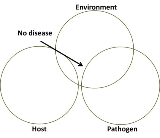 Arrow pointing to the area where the three variables of disease, host, and pathogen do not meet