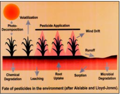 When pesticide is applied on top of plants the following can happen: photo-decomposition, volatilization, wind drift, runoff, microbial degradation, sorption, root uptake, leaching, and chemical degradation
