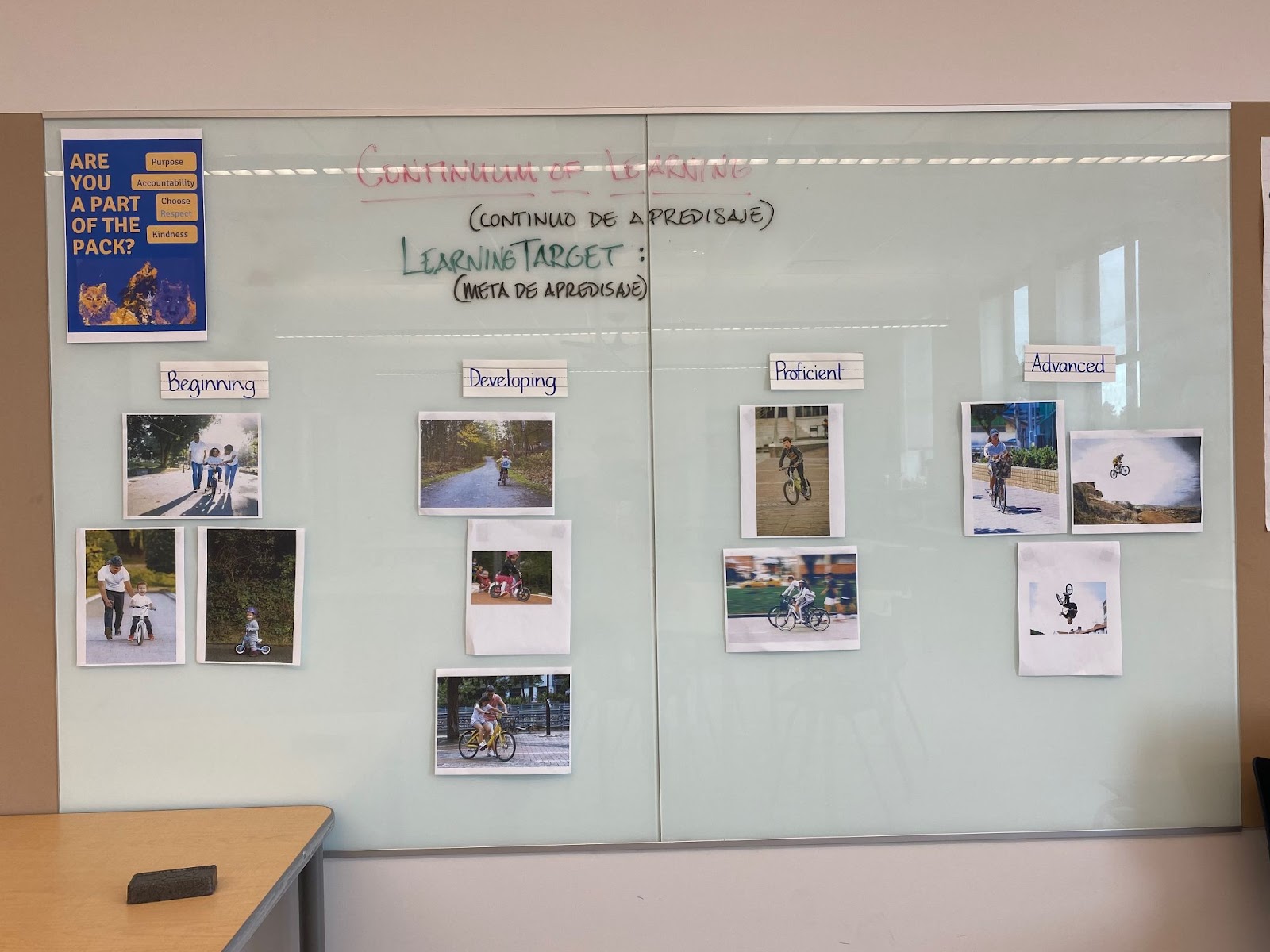 White board with bike riding pictures arranged in order of proficiency level.