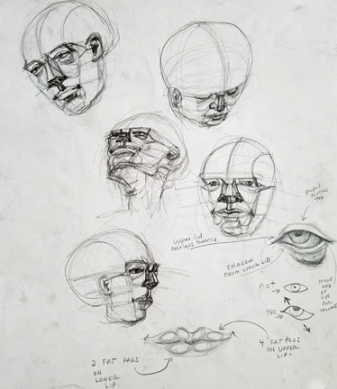 planar analysis of face at various angles. illustration of eye shape and fat pads in lips. Pencil.