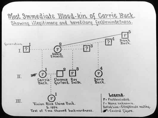 A pedigree chart displaying three generations of family history for Carrie Buck, marked to show "feebleminded" or "illegitimate mating."