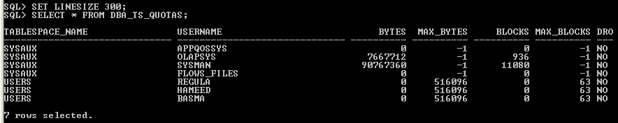 Figure 1-21 Tabalespace Quota