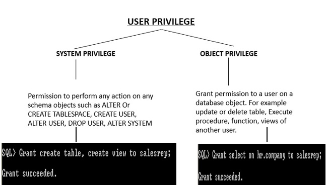 Figure 3-1 privilege