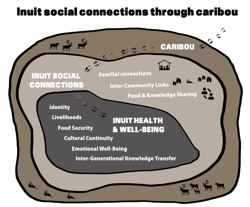 Fig. 4. Inuit social connections in relation to caribou, and the influences of these social connections on other dimensions of Inuit life.