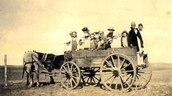 Farm children  transport to school for large families