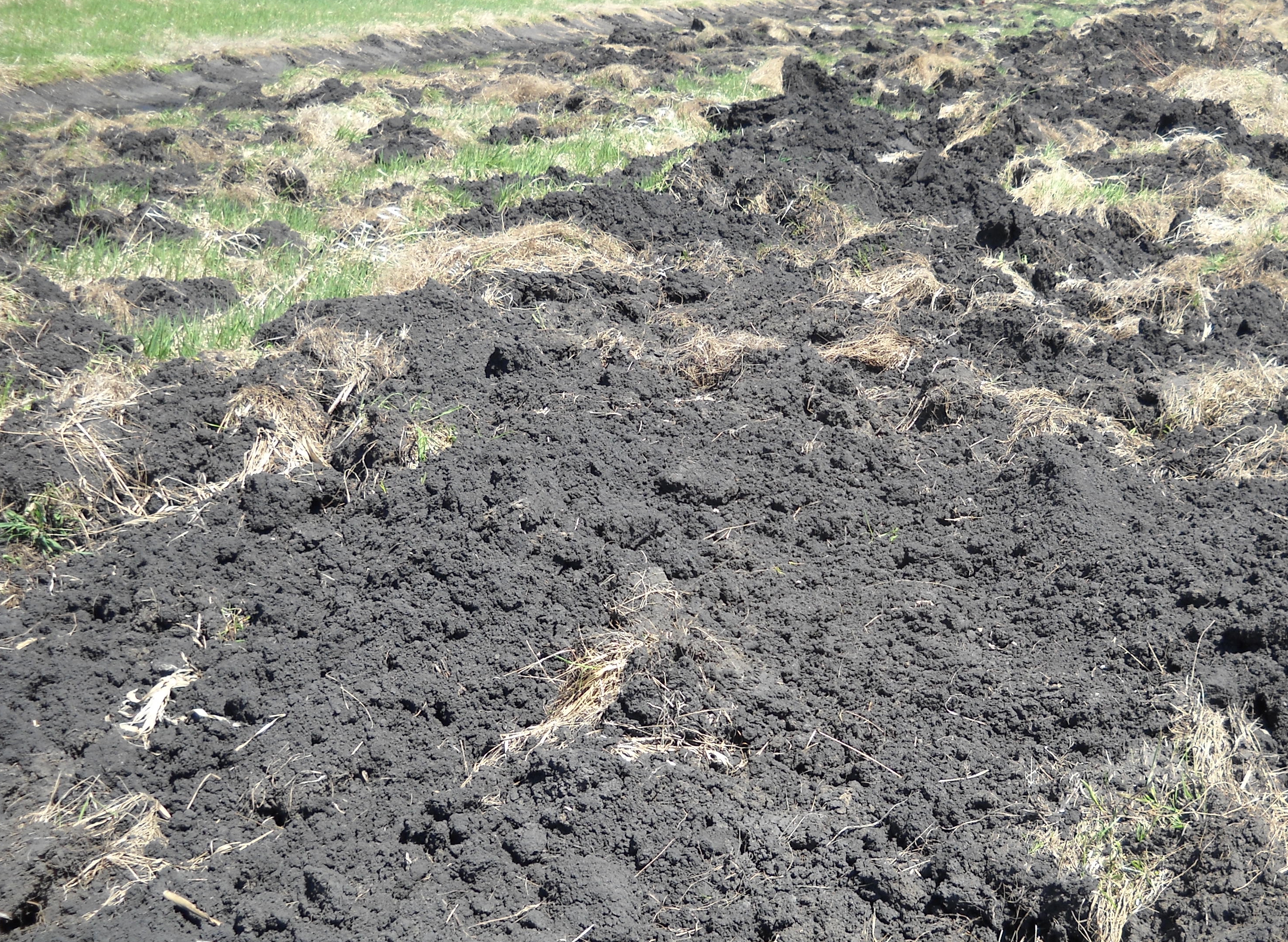 Farms  plowed field of black soil
