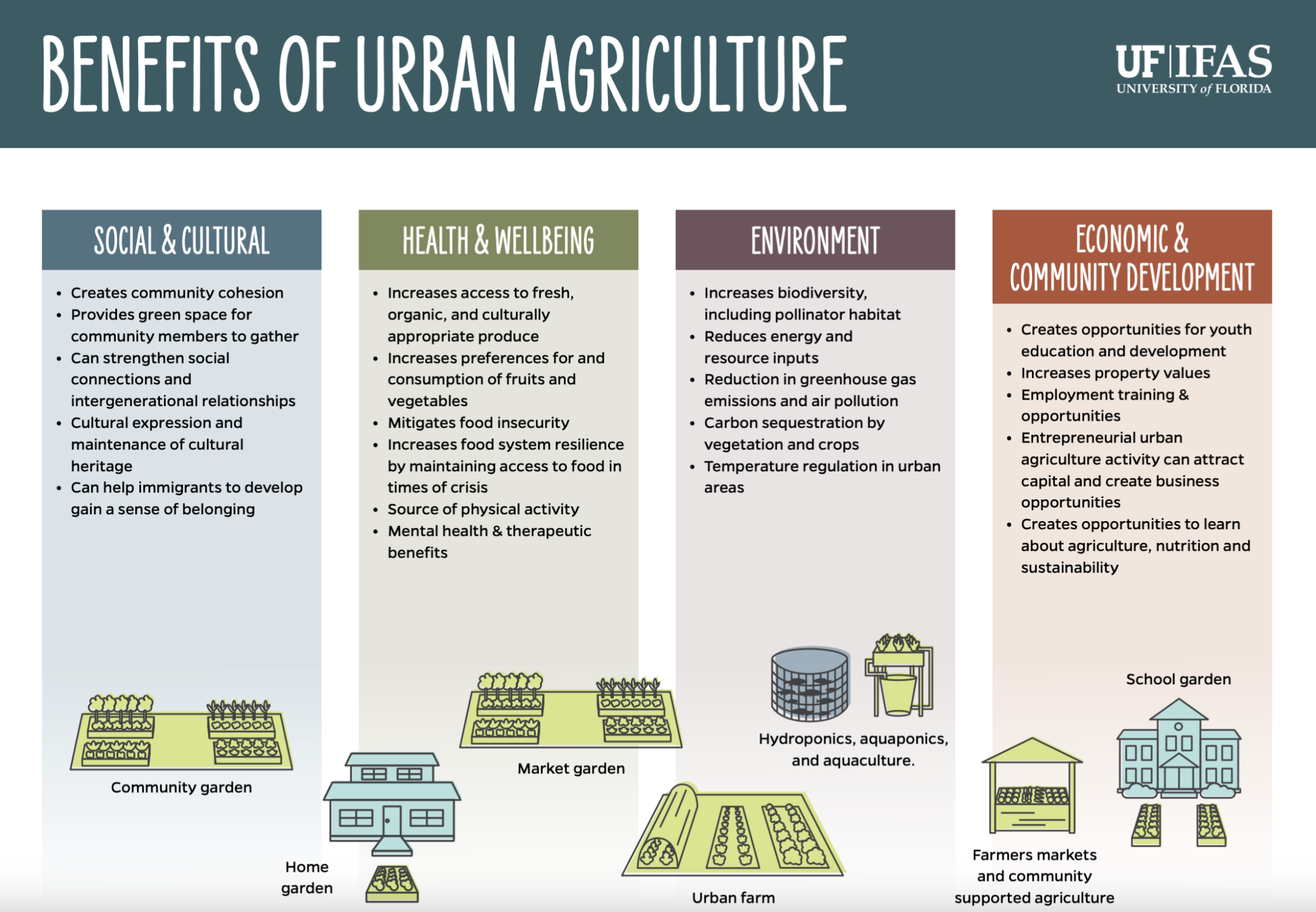 An infographic with benefits of urban gardening listed