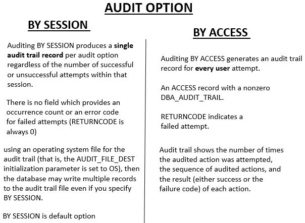 Audit Option