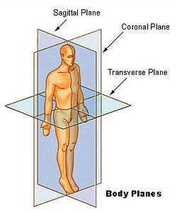 Here is a demonstration of the body's planes.
Source: Wikipedia