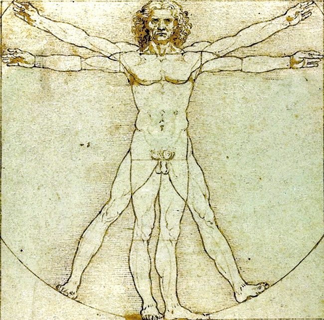 An ideal human body (at least during the Renaissance) was perfectly symmetrical.